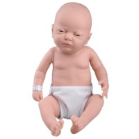 Pflegebaby, Lernmodell