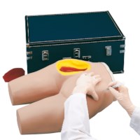 Injektionssimulator Gesäß / Oberschenkel intramuskulär