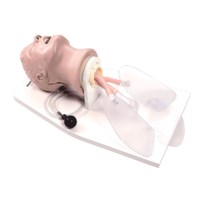 Intubationsmodell Kopf