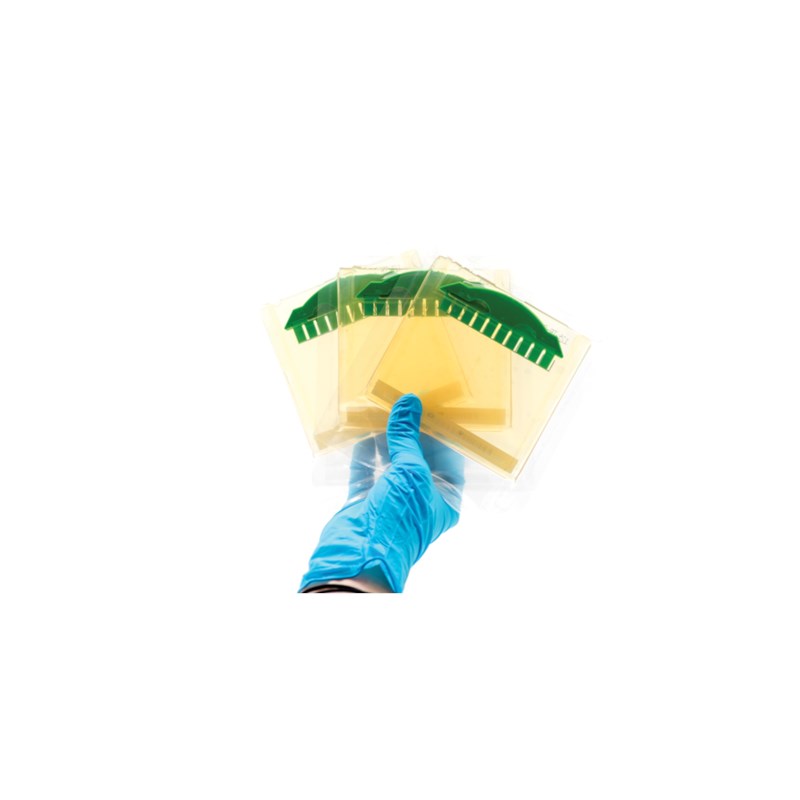 Vorgefertigte Polyacrylamid-Gele 3 Stück #651