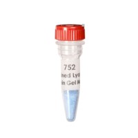 Vorgefärbte lyophilisierte Protein-Gel-Marker #752