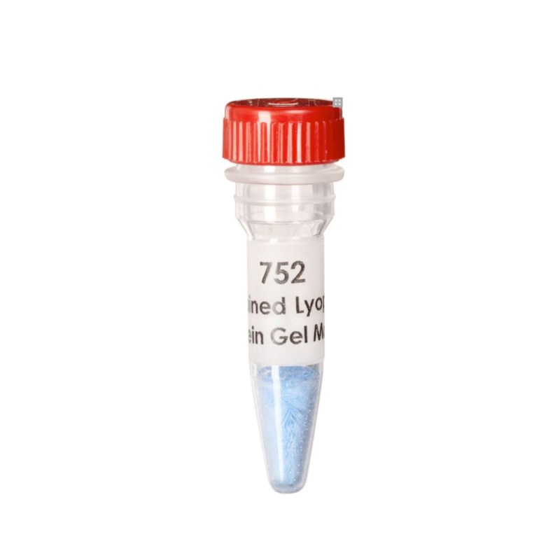 Vorgefärbte lyophilisierte Protein-Gel-Marker #752