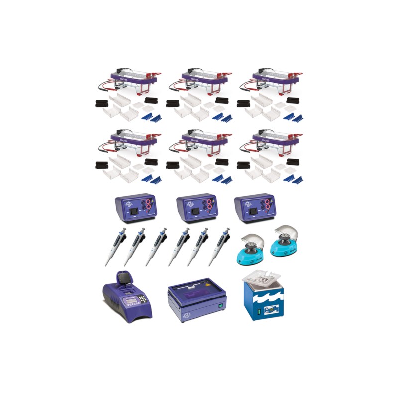 Set PCR LabStation™ #5067