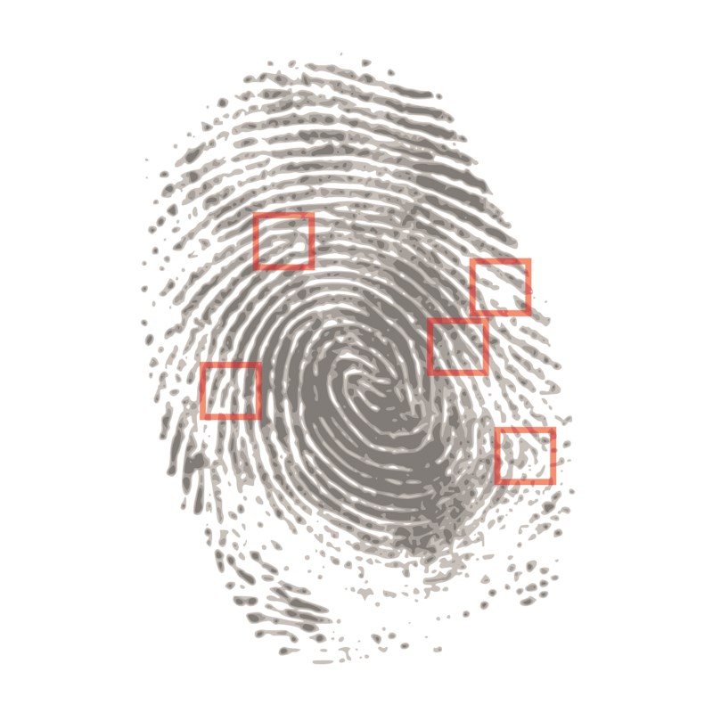 Wessen Fingerabdruck ist das?
