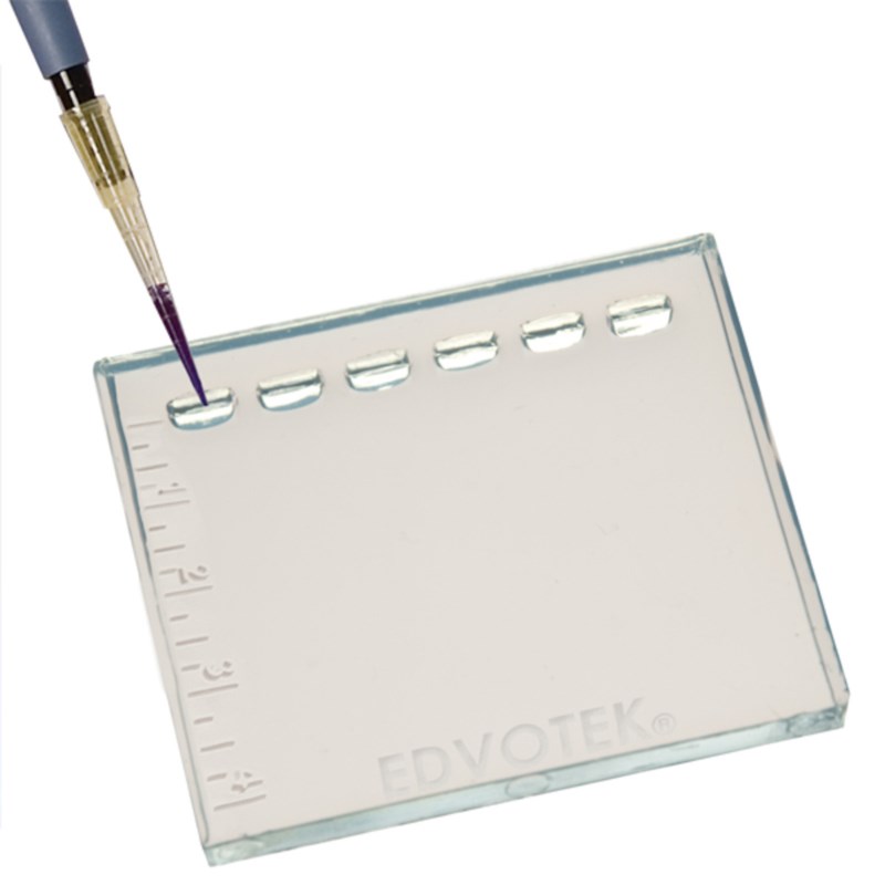 DNA DuraGel™ S-43