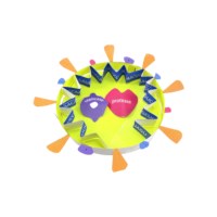 Coronavirus Modell