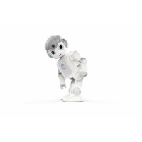 Buddy Roboter Lizenzpreis pro Jahr