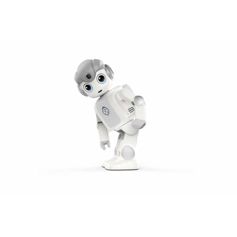 Buddy Roboter Lizenzpreis pro Jahr