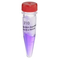 Lambda DNA digested mit Eco RI & Hind III