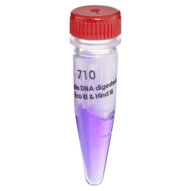 Lambda DNA digested mit Eco RI & Hind III