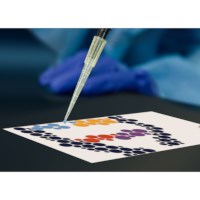 Pipetting By Numbers: MINT Pipetting Practice # S-45