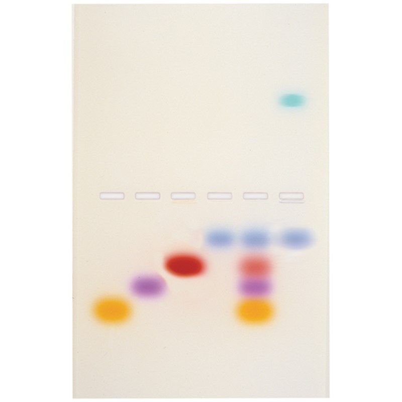 Das Prinzip und die Praxis der Agarose-Gelelektrophorese
