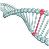 Edvotek - Nachweis von Krebsgenen