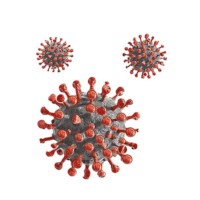 Erweiterung unserer Tests: Verwendung von ELISA zum Nachweis von COVID-19