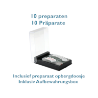 Preparat Apis mellifica, Honigbiene Facettenauge, c.s