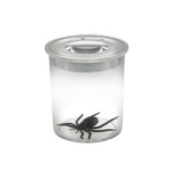 Insectenpotje 5x vergrootglas