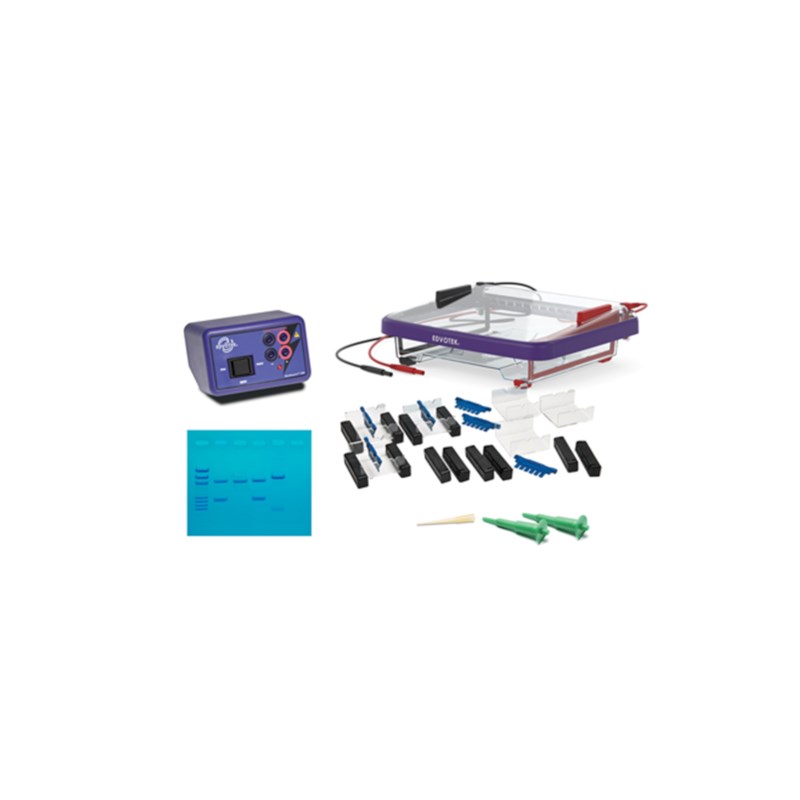 Set DNA Electroforese LabStation™ #5062