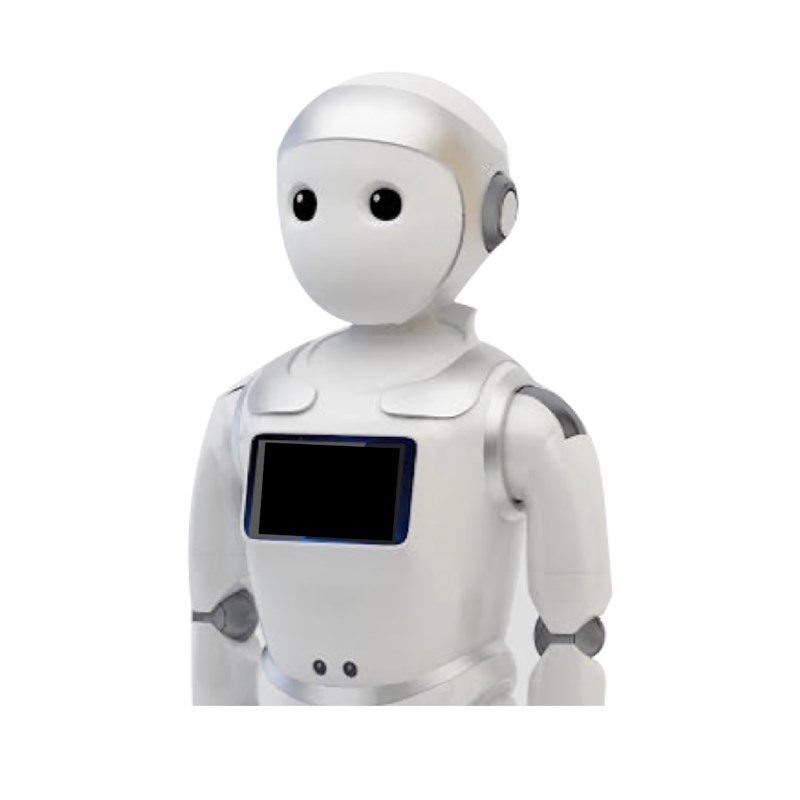 Ipal onderwijsrobot zilver