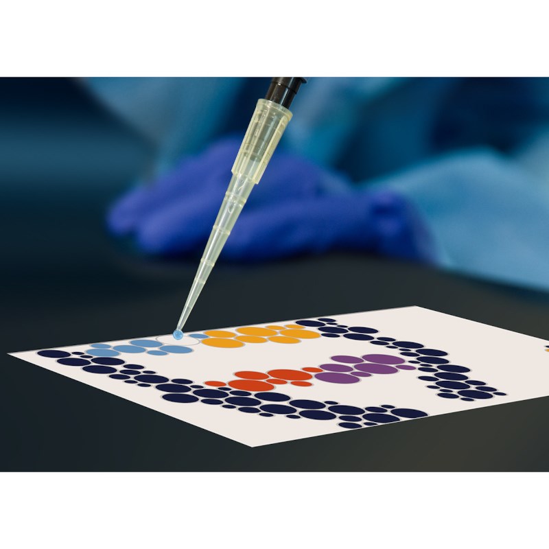 Pipetting By Numbers: STEAM Pipetting Practice # S-45