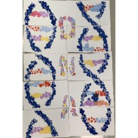 Pipetting By Numbers: STEAM Pipetting Practice # S-45