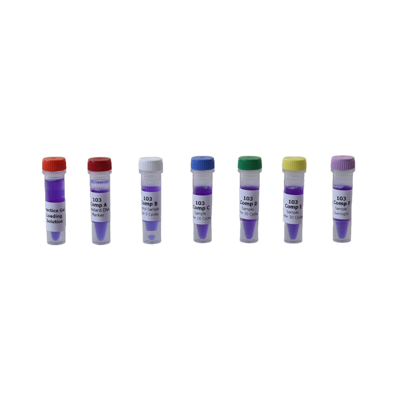 DNA samples voor 24 gels  de principes van DNA