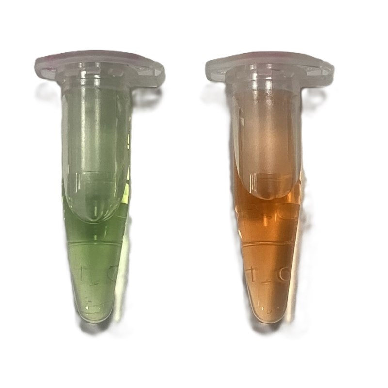 Onzichtbare footprints: Kooldioxide zien en klimaatverandering begrijpen