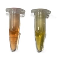 Onzichtbare footprints: Kooldioxide zien en klimaatverandering begrijpen