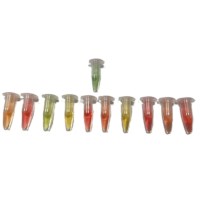 Onzichtbare footprints: Kooldioxide zien en klimaatverandering begrijpen