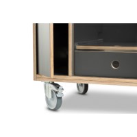 Verrijdbare 3D-Printer kast - Lay3rs AMcart