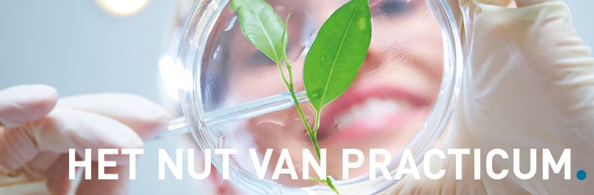 Het nut van practicum