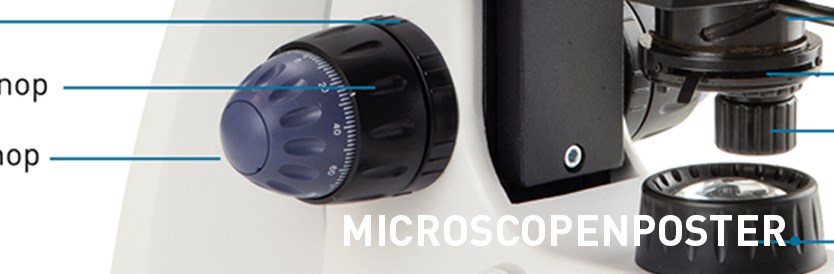 Gratis microscopenposter